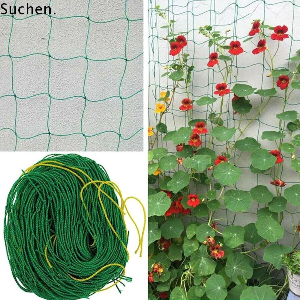 SUCHENPH Climbing Fruit Vegetable Flower Growing Fence Vines Holders