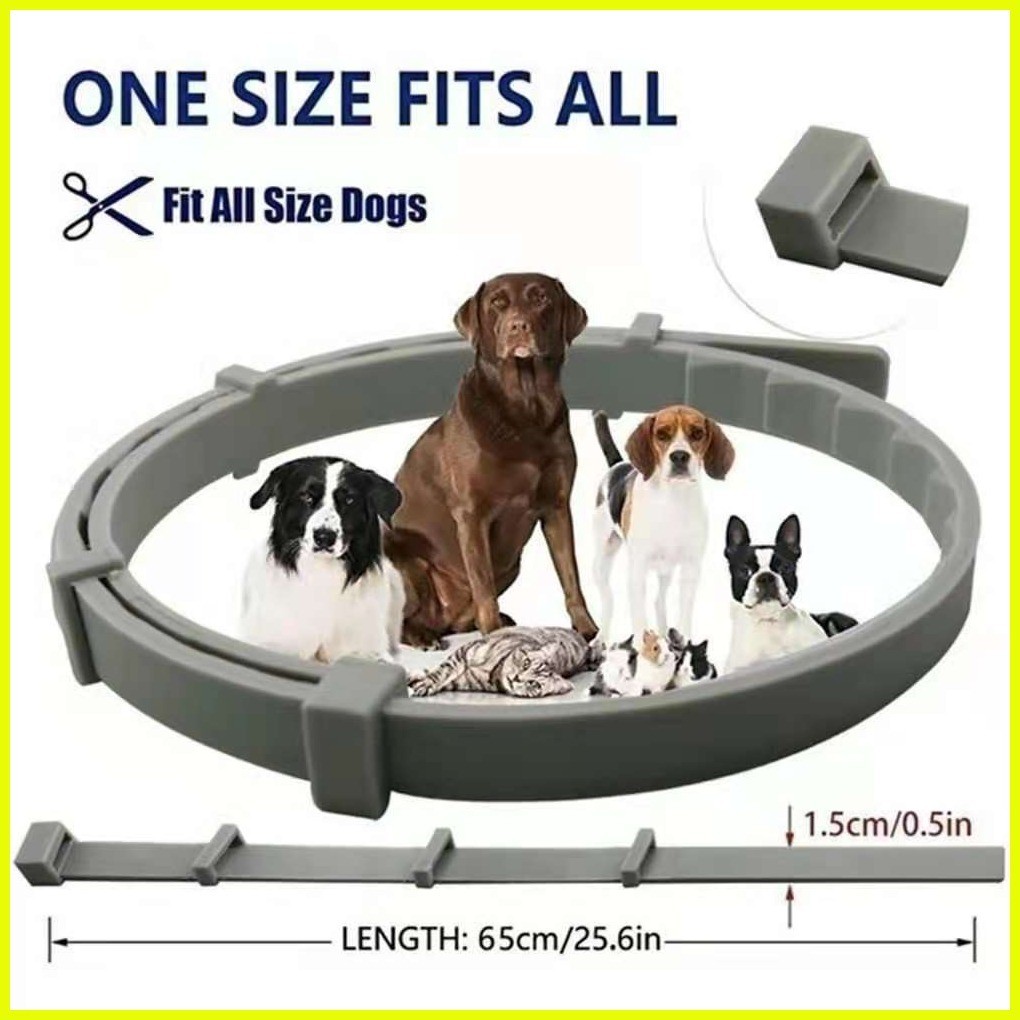 Chinee Dog & Cat Flea and Tick Collar 8 Months Protection ( Adjustable