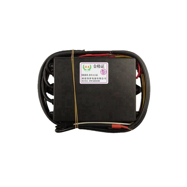 ε 24v pulse igniter commercial gas steam engine dual solenoid valve