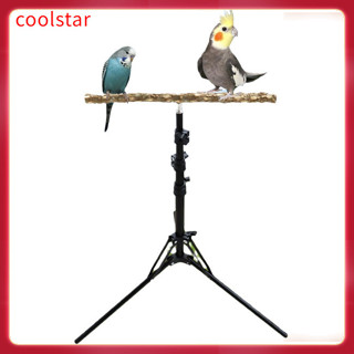 Indoor bird outlet stand