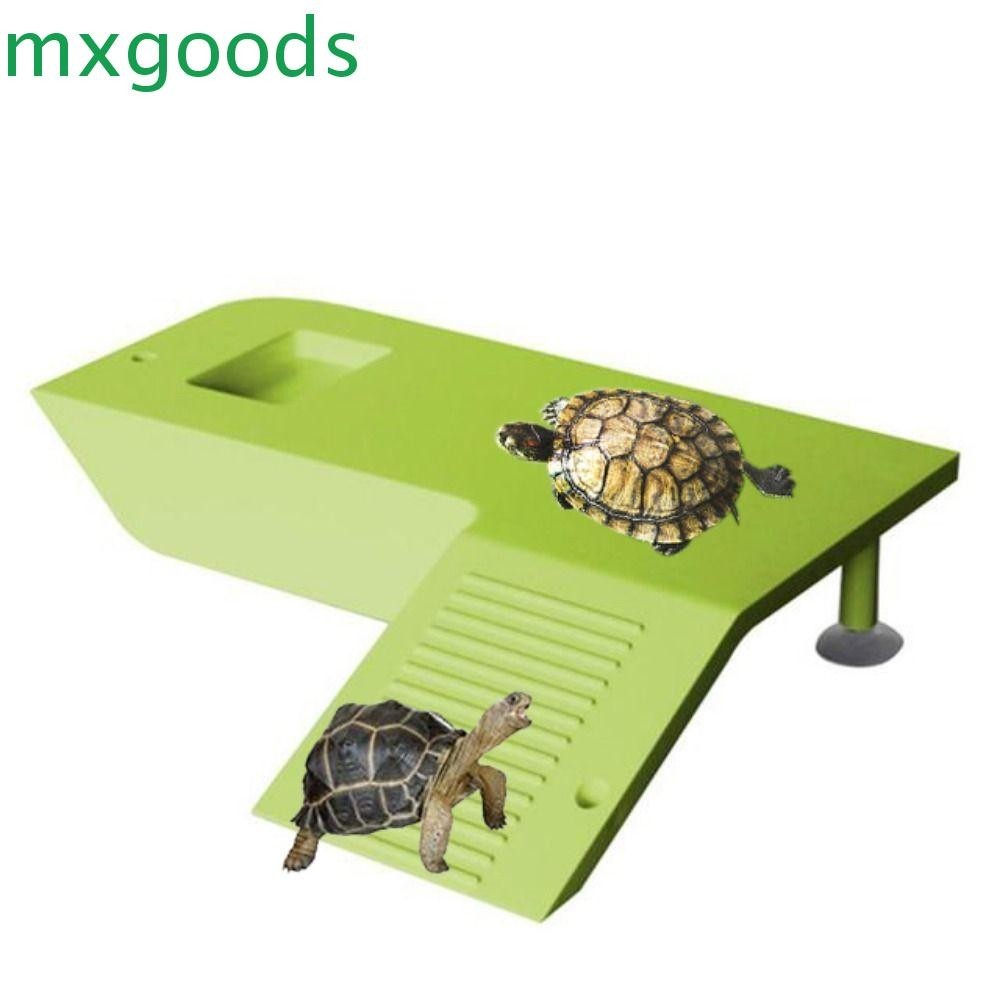 MXGOODS Turtle Habitat Durable Practical Turtle Climbing Platform for ...
