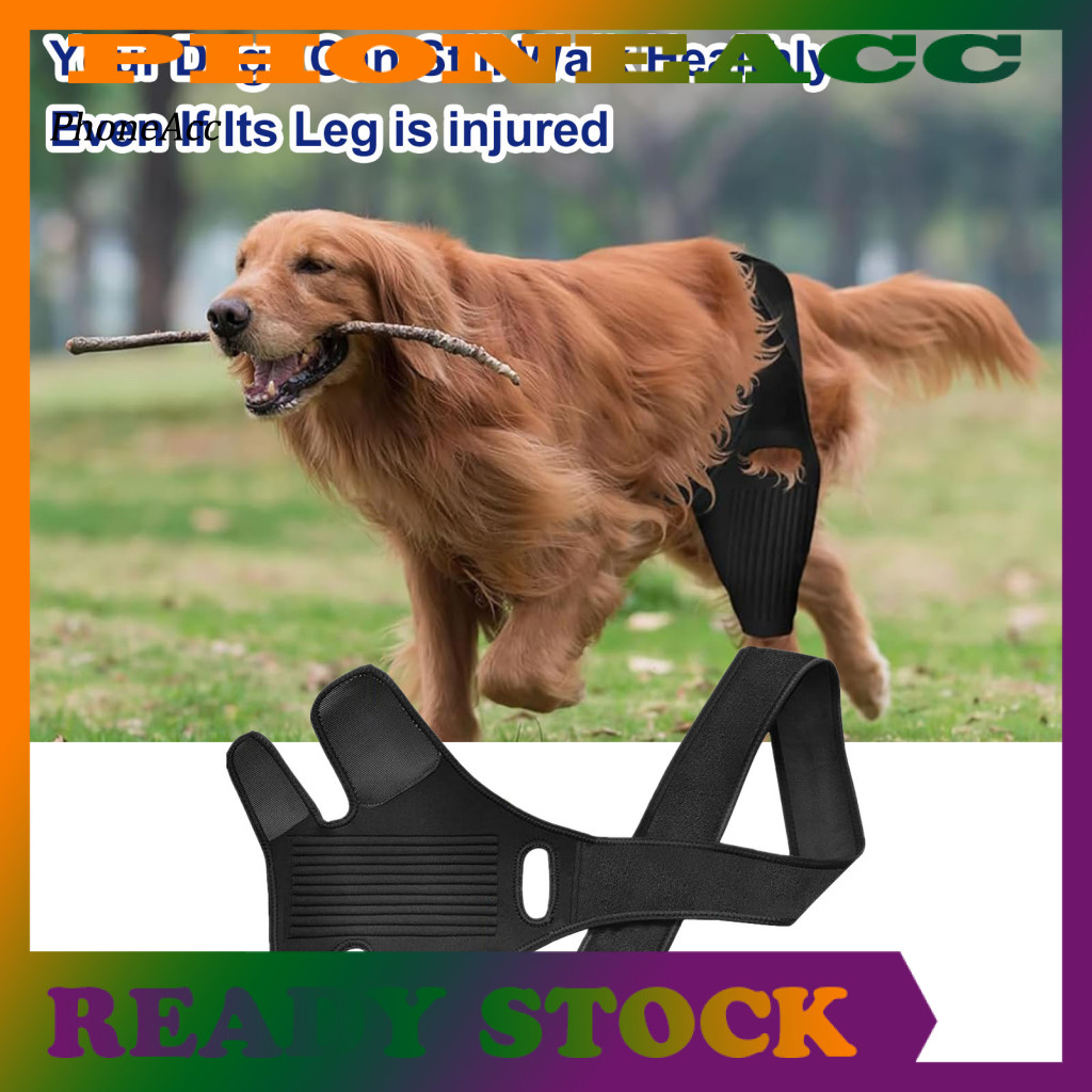 Dog Leg Injury Recovery Pet Leg Injury Rehabilitation Adjustable Dog