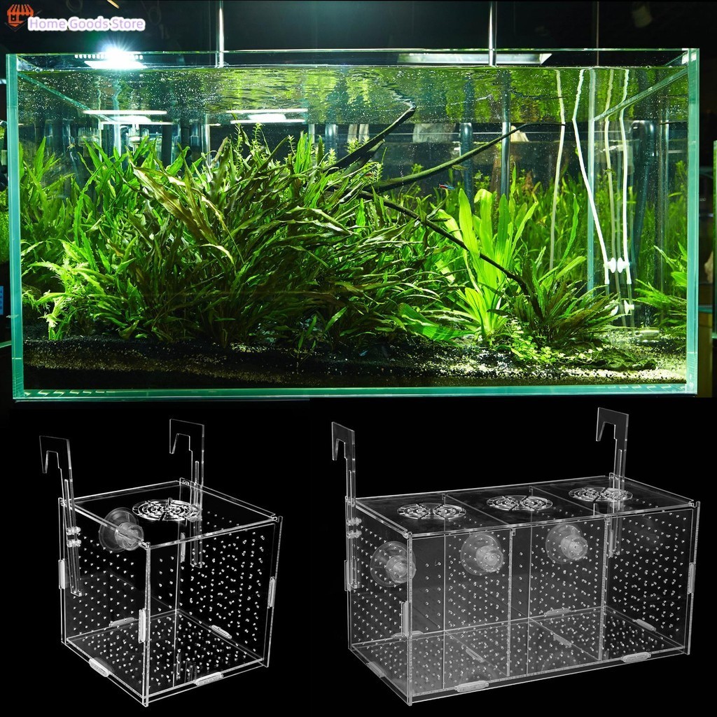 Fish Breeding Box Transparent Fish Isolation Box Acrylic Fish Isolation ...