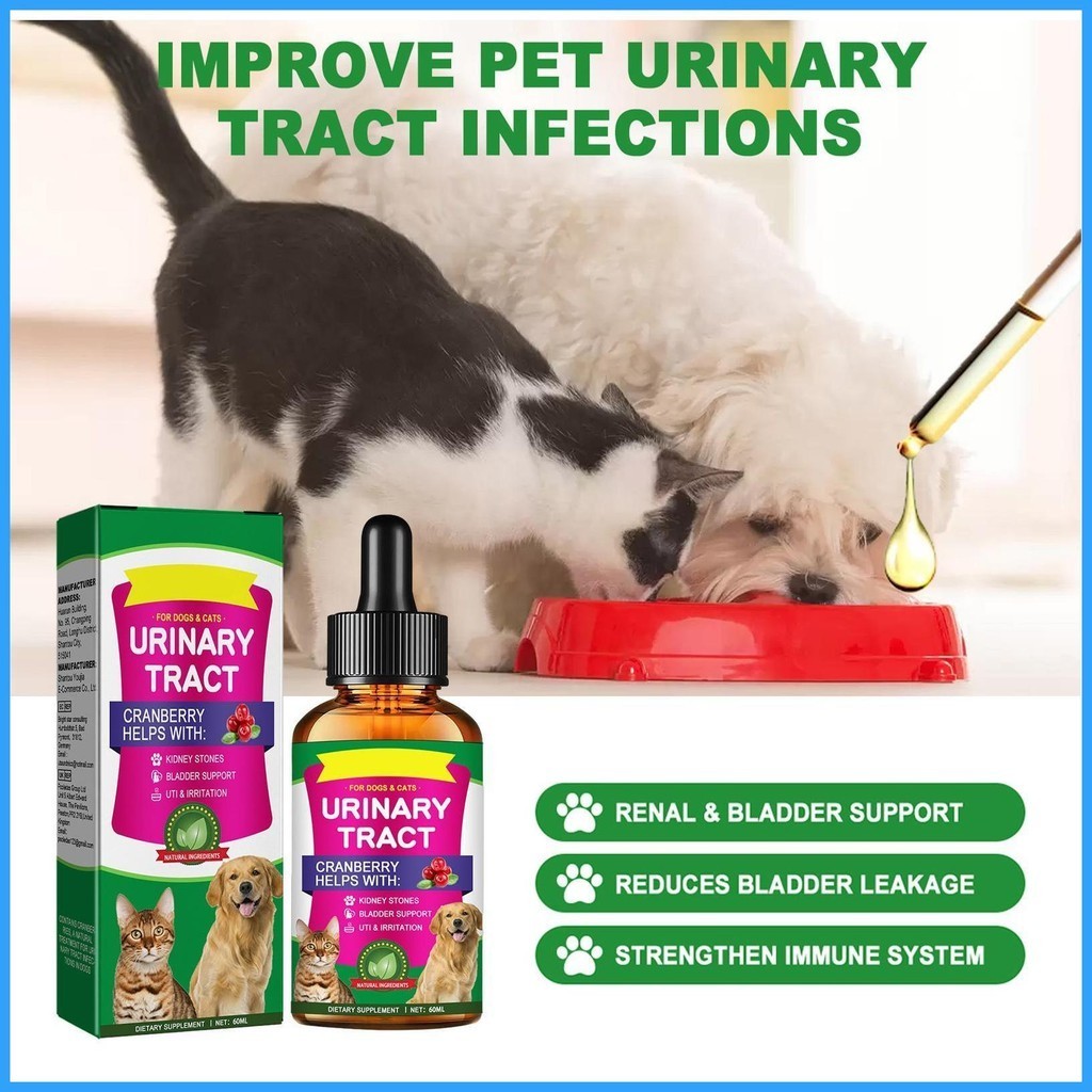 Canine uti outlet treatment