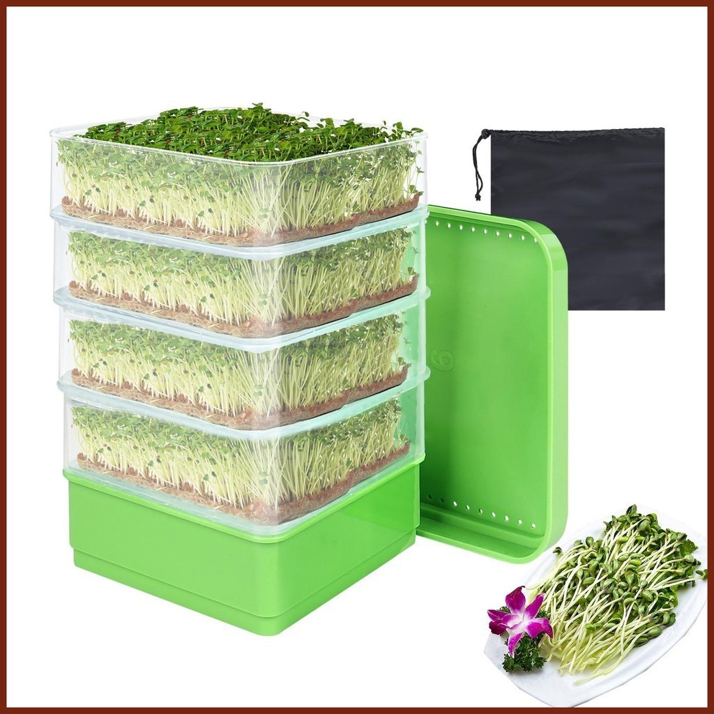 Tray Sprouter Sprouting Kit Bean Growth Germination Trays Wheatgrass ...