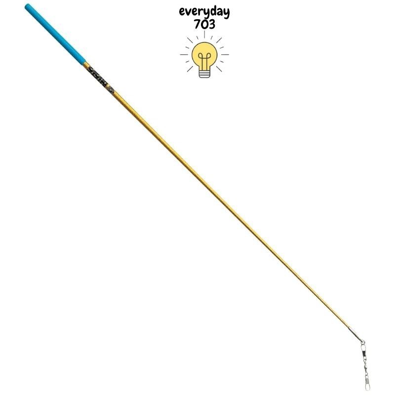 Sasaki Rhythmic Gymnastics Ribbon Stick, International Gymnastics ...