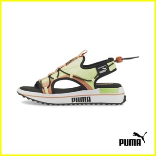 Puma surf 2025