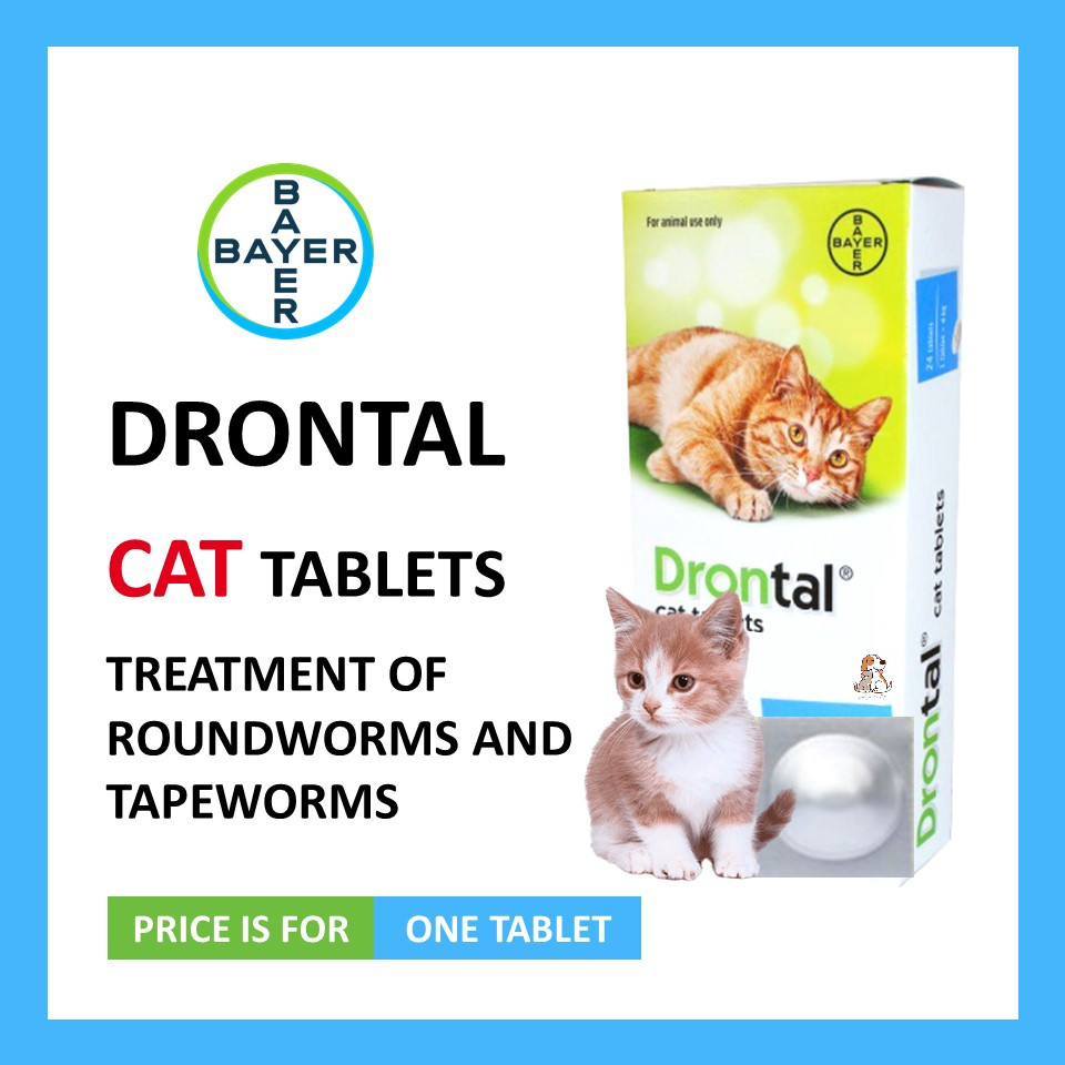 Drontal Cat Deworm 1 Tablet Prevention Roundworm And Tapeworm Worm Medicine For Cats Exp 06