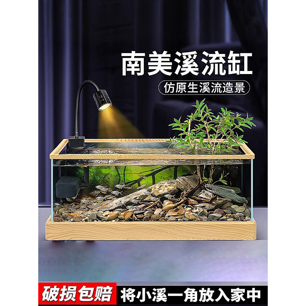 New Glass Fish Tank Native South American Stream Tank Landscaping Home ...