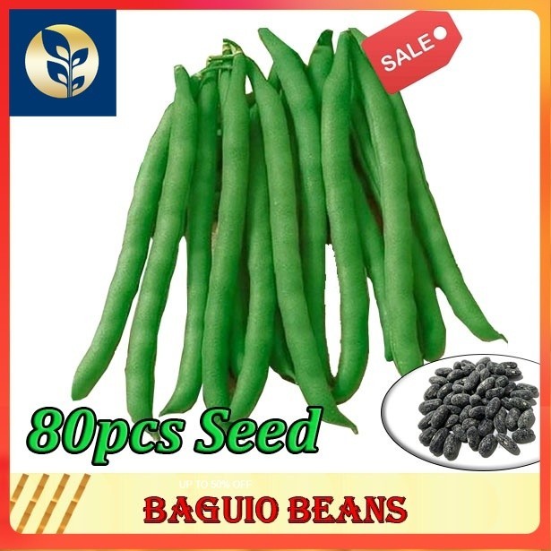 Baguio Beans Seeds | Baguio Beans | Golden Quality | Shopee Philippines