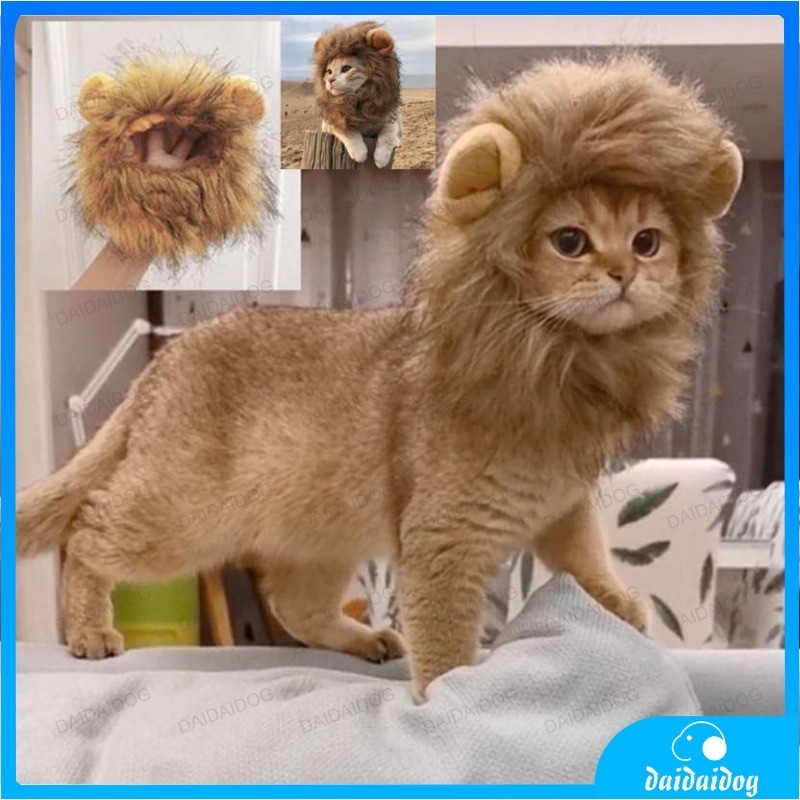 Cute Lion Mane Cat Wig Hat For Dogs And Cat Small Dog Pet Cat Decor  Accessories Costume halloween Lion Wig Hair Cap Pet Supplies