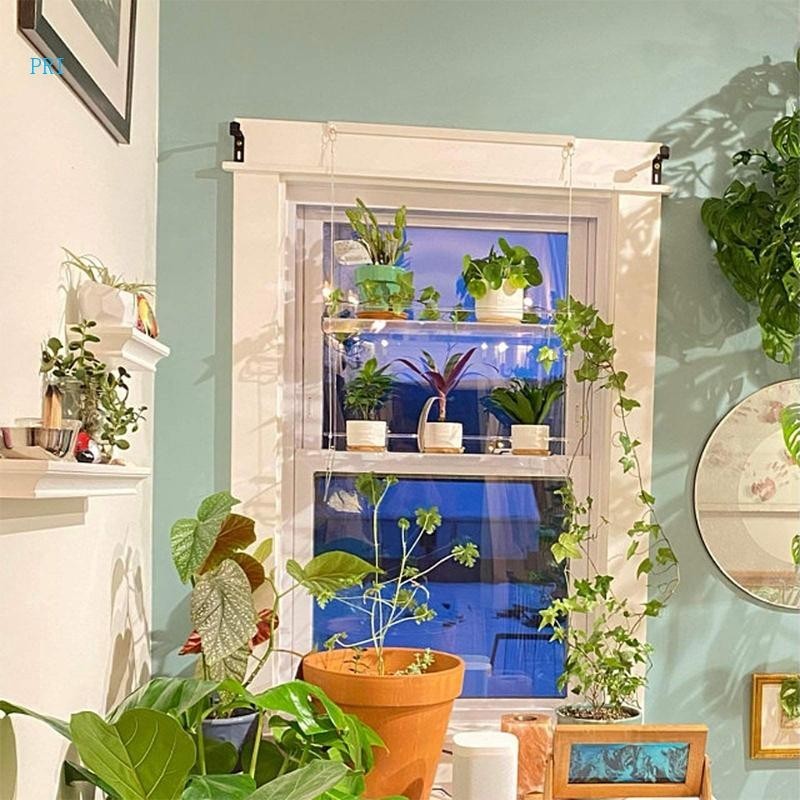 pri Premium Transpaent Acrylic Window Plant Shelves 2 3 Layers Clear ...