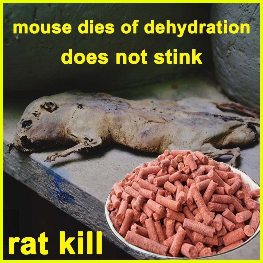 Buy 2 Get 1 Free] big rat killer poison pellet 20g pamatay sa daga ...