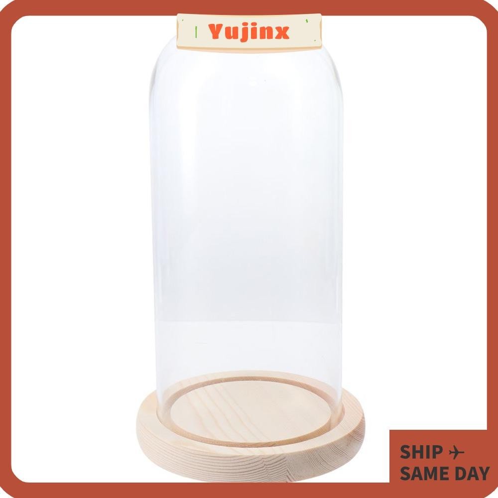 Teenyyou 6 Pcs Plastic Dome Cloche Display Various Decor and