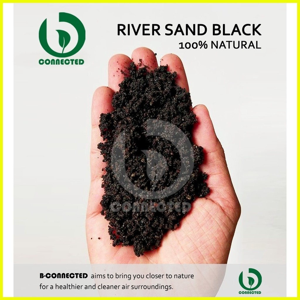 BLACK SAND (RIVER SAND - 1 KILO) BY BCONNECTED / AQUARIUM / PLANT ...