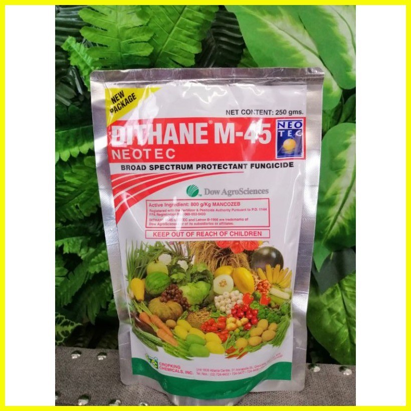 ⭐ Dithane Fungicide M-45 Broad 250g | Shopee Philippines