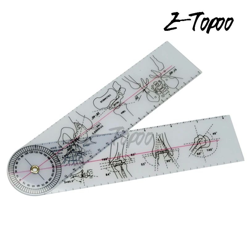 Spinal goniometer distal radioulnar joint ruler medical ruler Angle ...