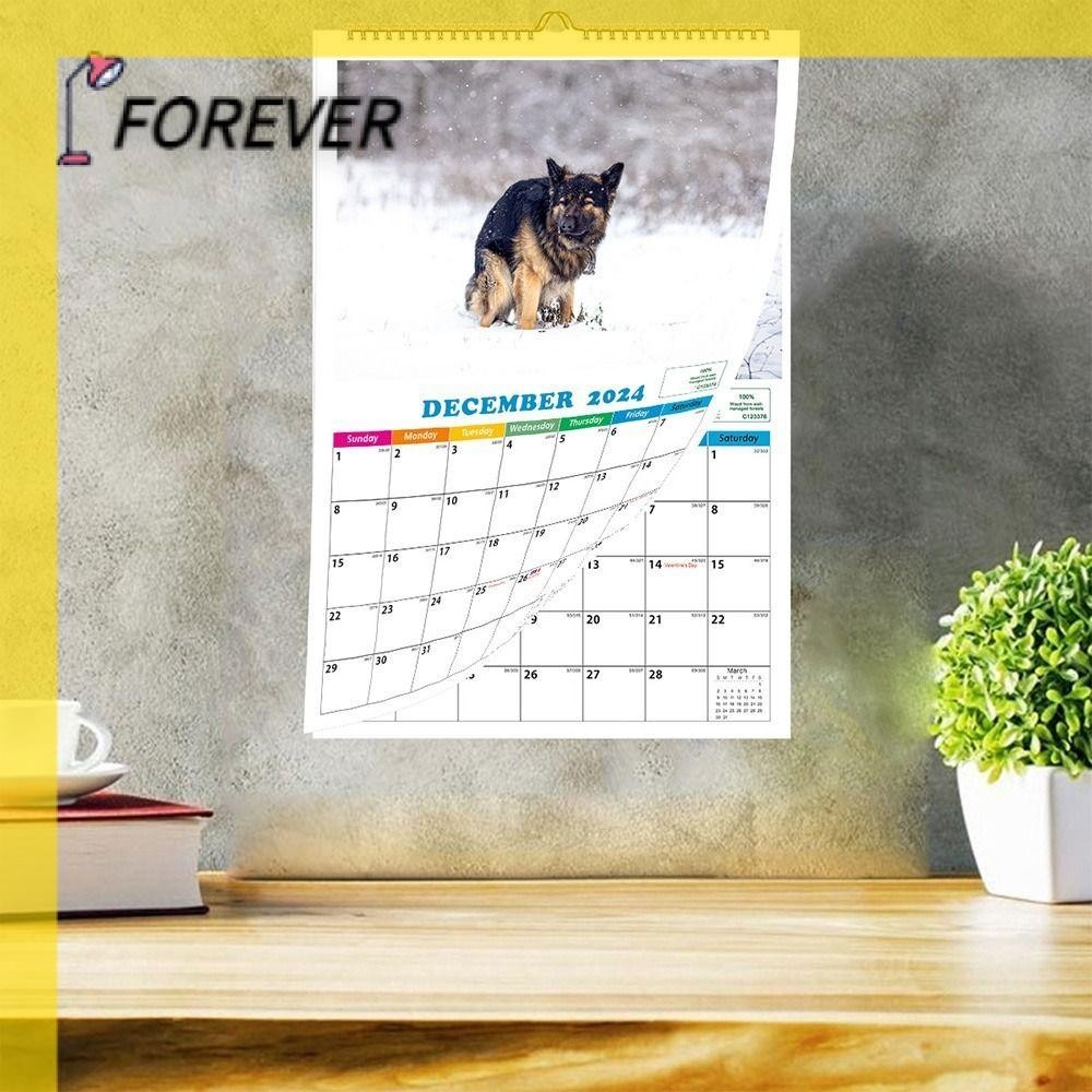 FOREVER 2024 Wall Calendar, from Jan. 2024 to Apr. 2025 Wall Paper 2024