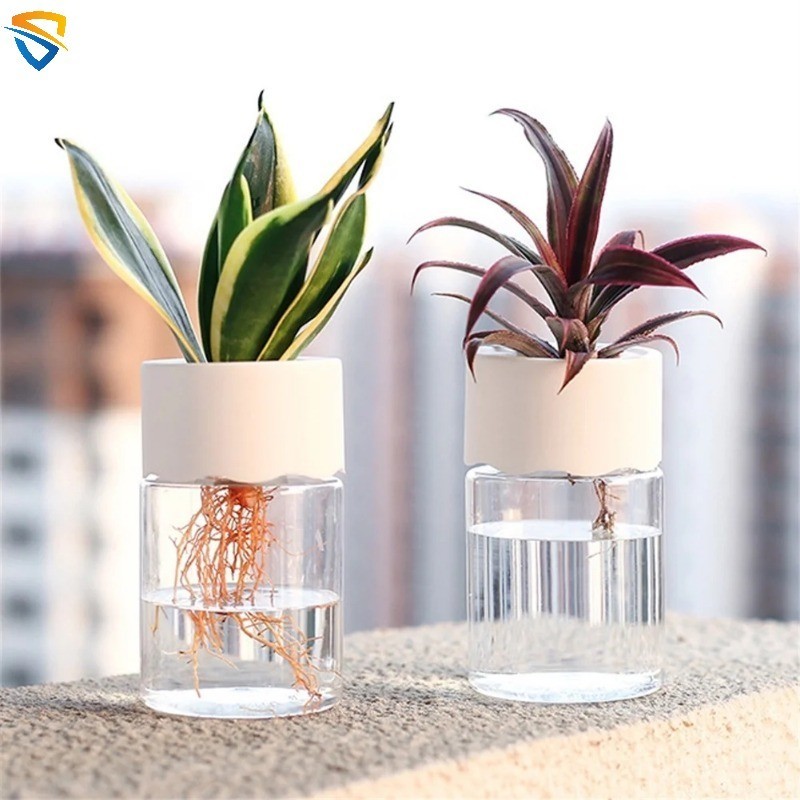 1Pc Simple Mini Hydroponic Flower Pot Vase Transparent Plastic Soilless ...