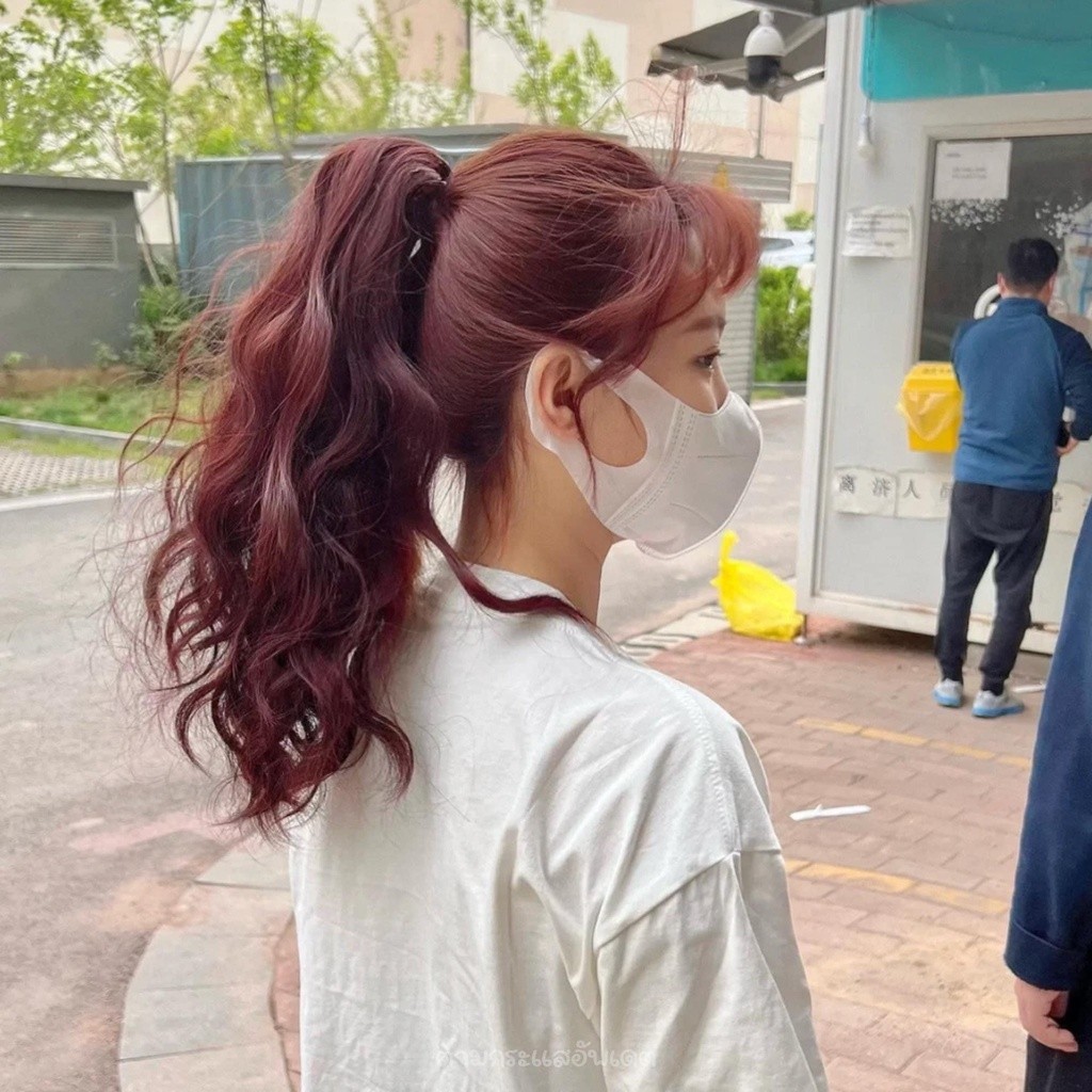 Cherry red brown dye with home hair dye kit Shopee Philippines