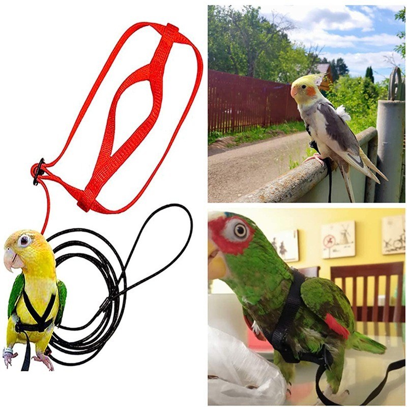 Bird Harness Leash Anti Bite Outdoor Red Flying Training Rope