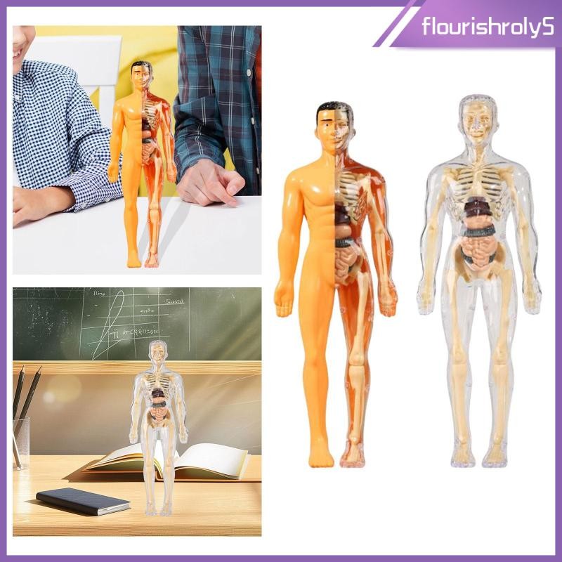 [Flourishroly5] Learning Prop Human Body Model Realistic Human Biology ...