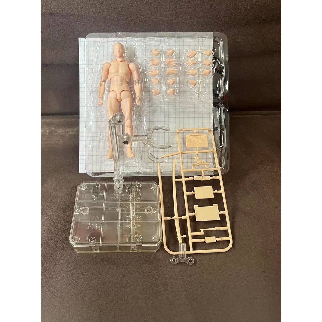 SHF Body Human Figure Model Art Painting Reference Male And Female Tool