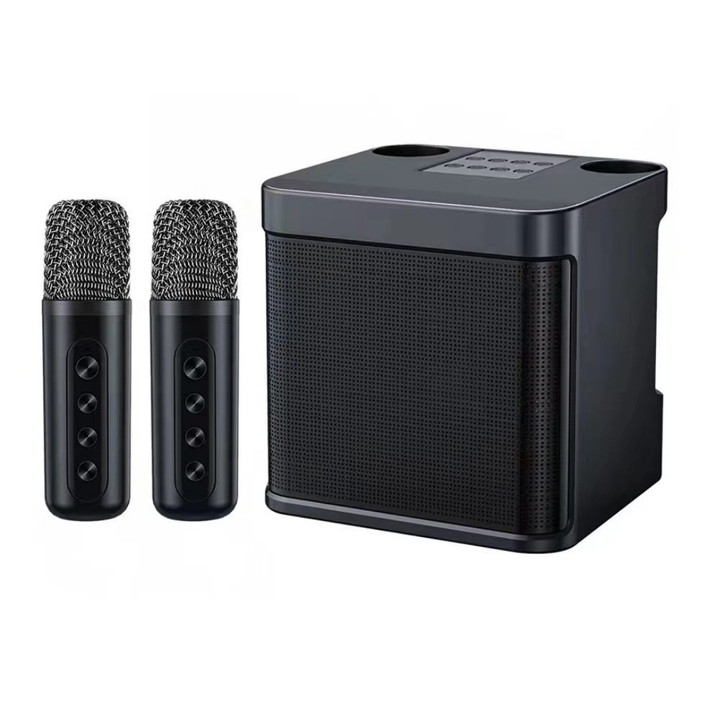 Karaoke Speaker with Mic 3D Stereo Amplifier Bluetooth Speaker Dual ...