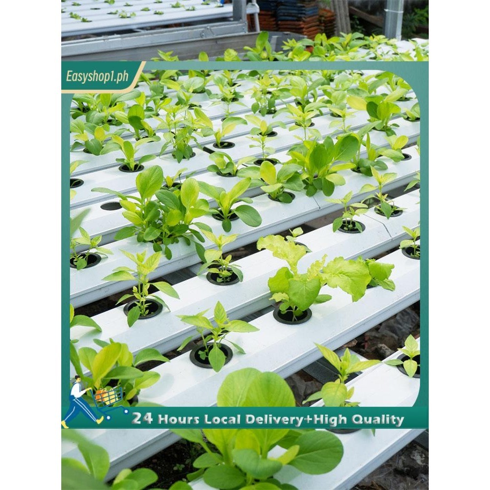 72 Set Rockwool Cubes for Hydroponics 1.5inch Rock Wool Planting Cubes ...