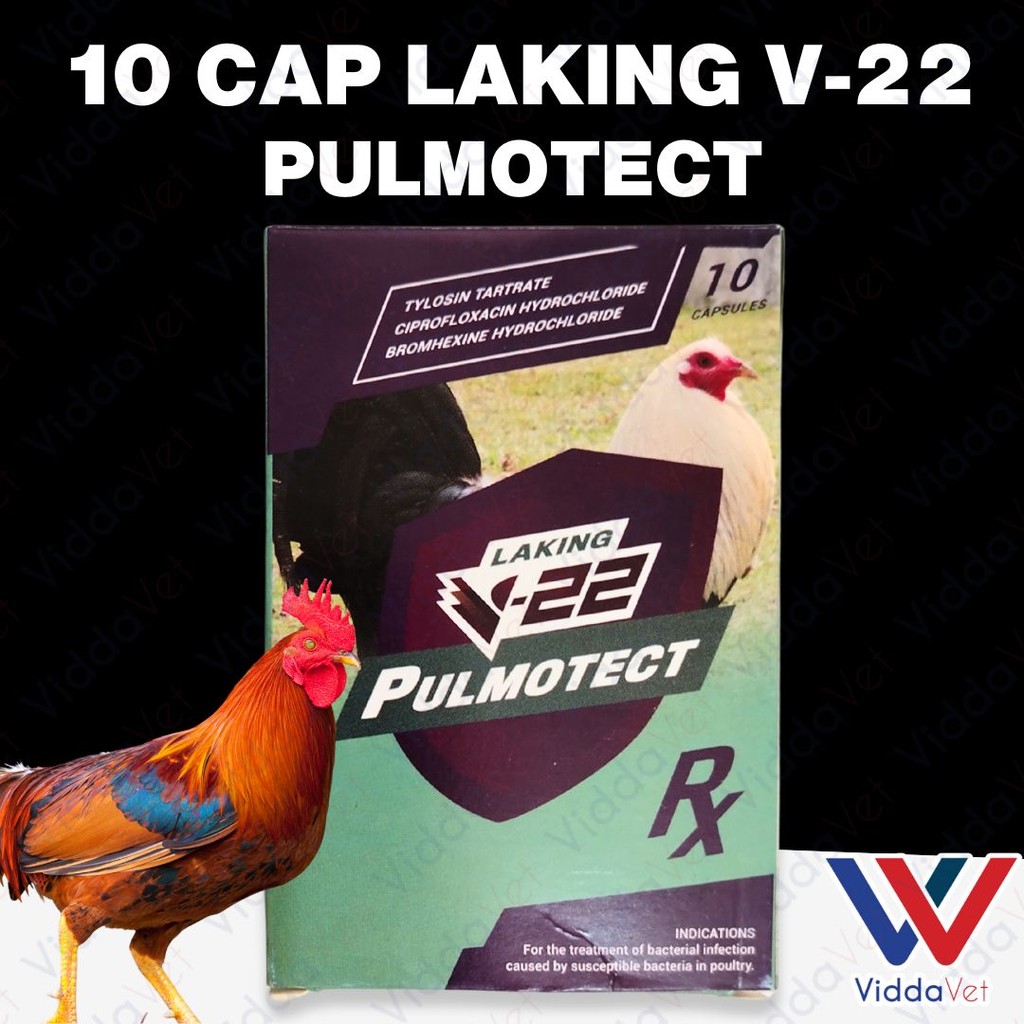 Laking V 22 Pulmotect Farm Bird Respiratory 10 capsules | Shopee ...