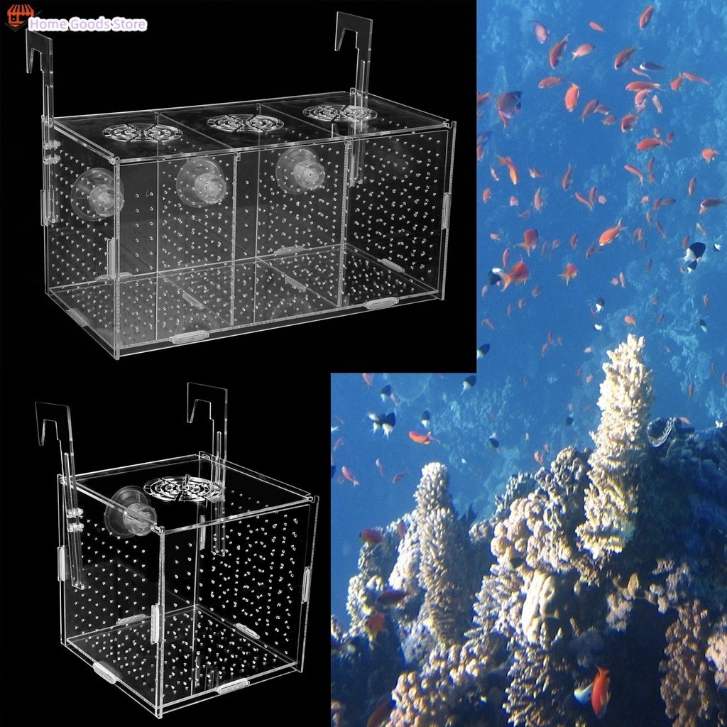 Fish Breeding Box Transparent Fish Isolation Box Acrylic Fish Isolation ...