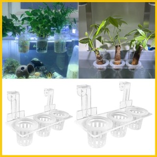 Plastic Desktop Aquarium Aquaponic Shatterproof Planter Tanks