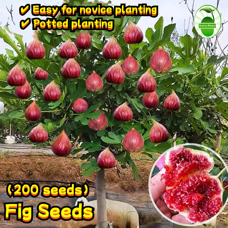 plastic planting pots 15 Gallon Nursery Pot for Plants