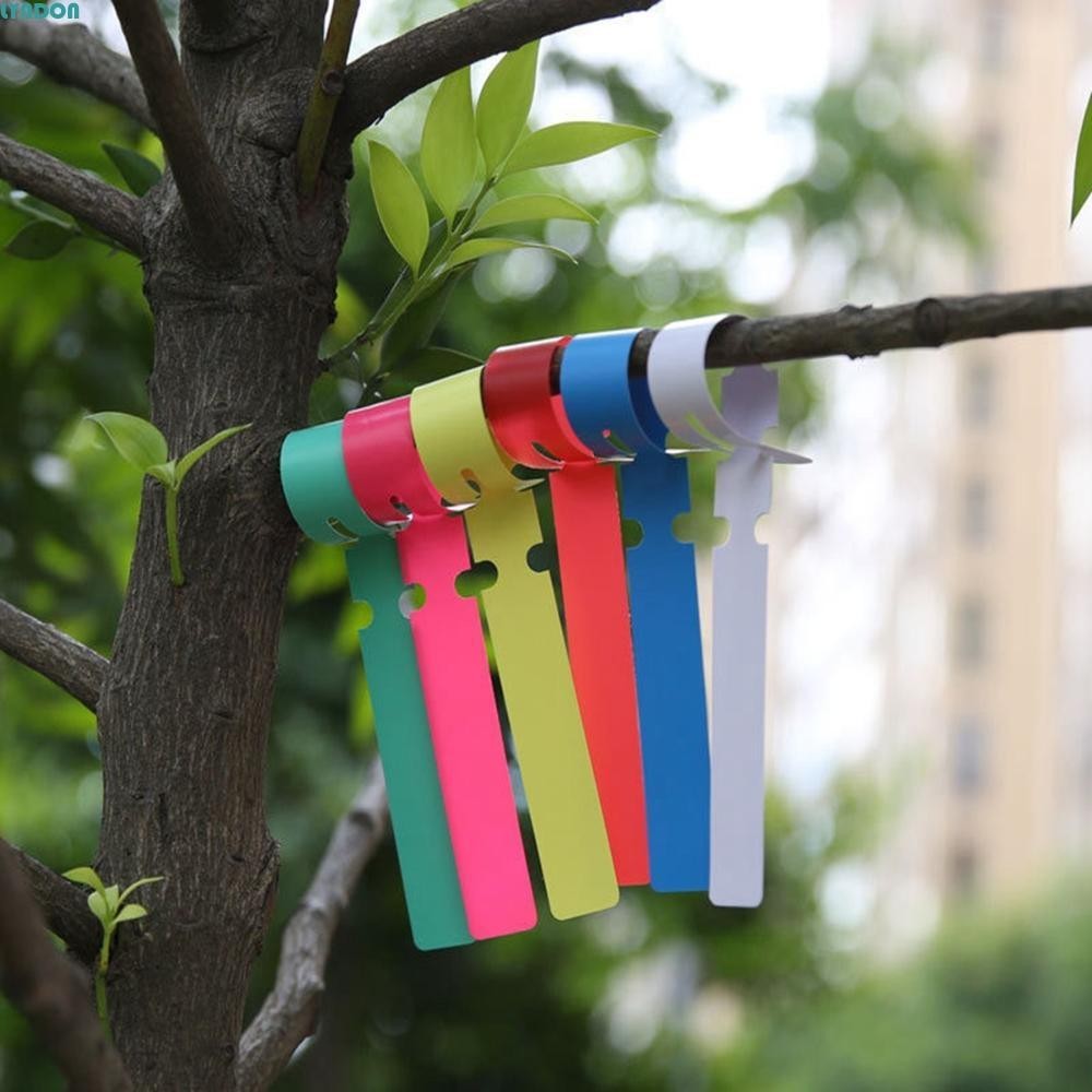 LYNDON Plant Tags Ring Reusable Prompt Card Classification Tool Hanging ...