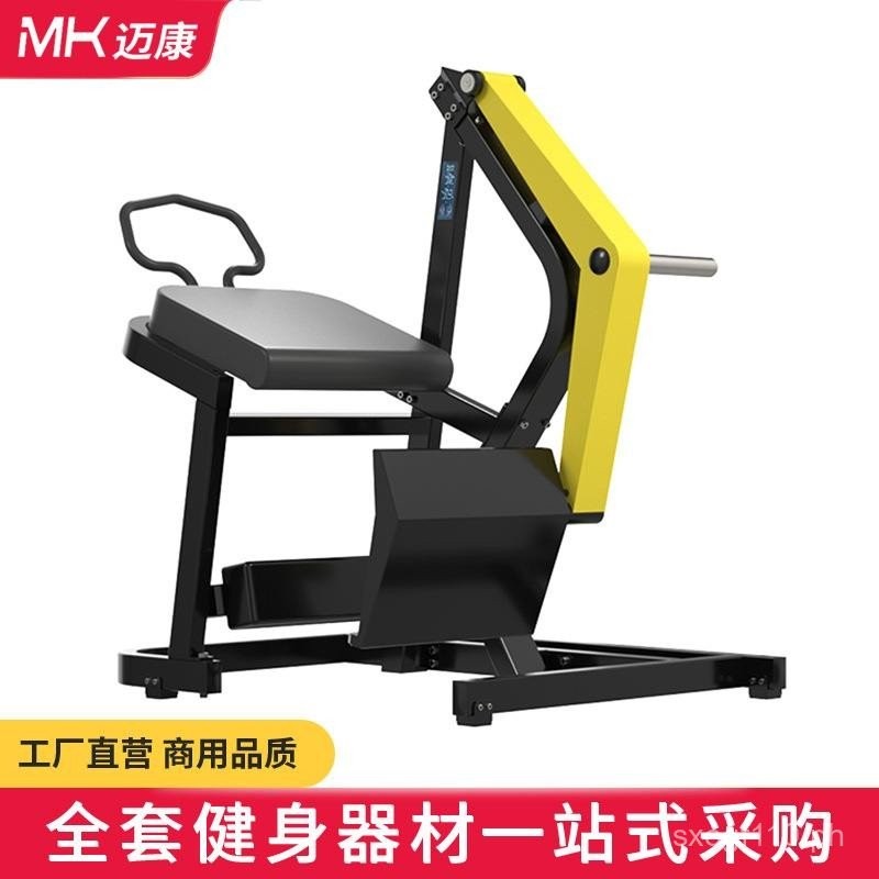 Bumblebee Commercial Back Leg Extension Machine Multi-Functional Leg ...