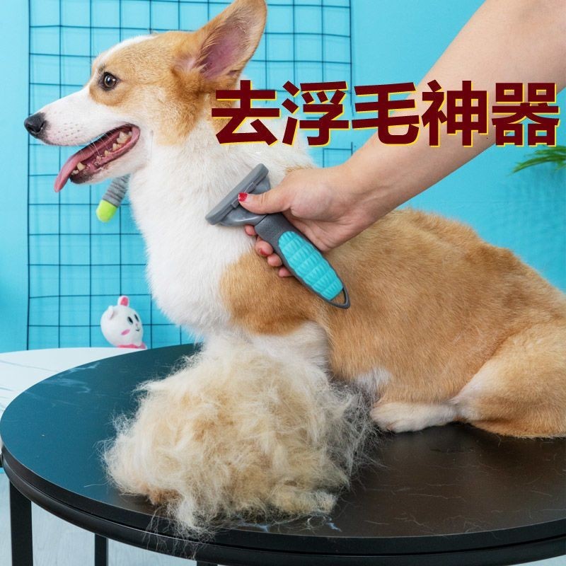 Dog Comb Corgi French Fighting Golden Retriever Labrador Large Dog ...