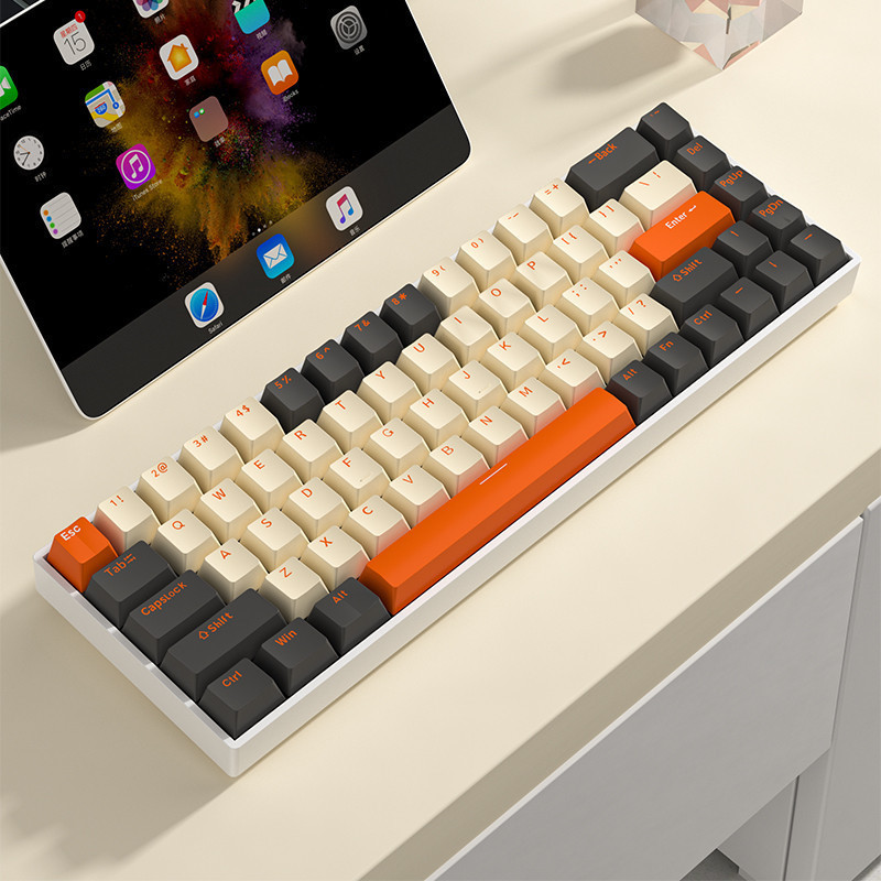 Mathew Tech HW68 Wireless Mechanical Keyboard 68keys Hot Swap 65% ...