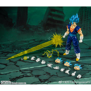 Shop vegito for Sale on Shopee Philippines