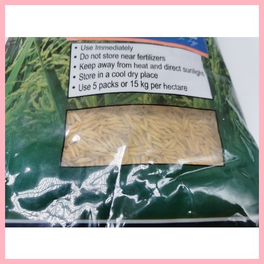 § QUADRO ALAS HYBRID RICE SEEDS 3 KILOGRAMS PACK by SEEDWORKS | Shopee ...