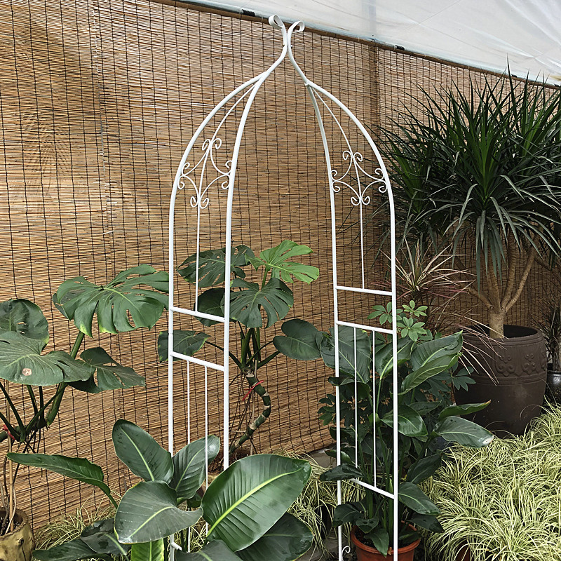 Wrought Iron Grape Trellis Steel Pipe Clematis Rose Arch Flower Stand ...