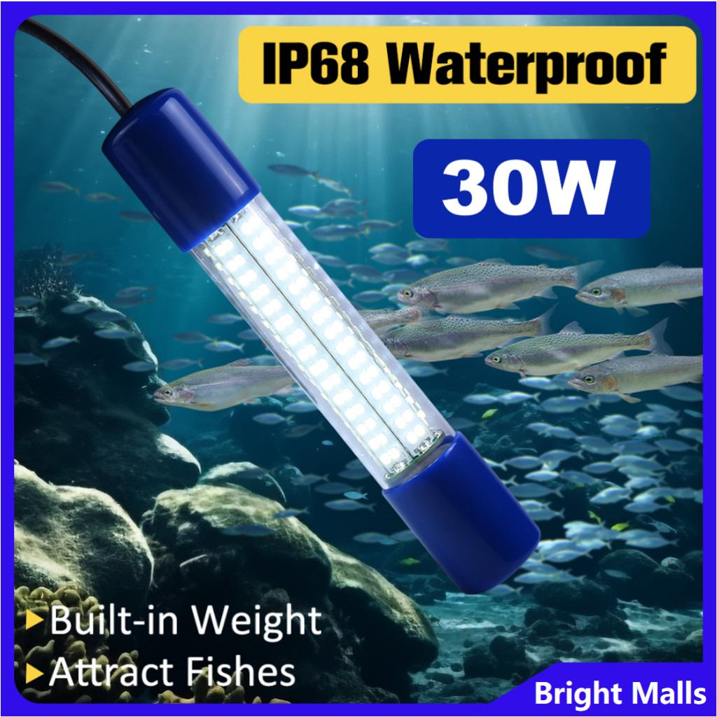 Bright 30W 150W 12V Underwater Fishing Light Portable LED Submersible ...