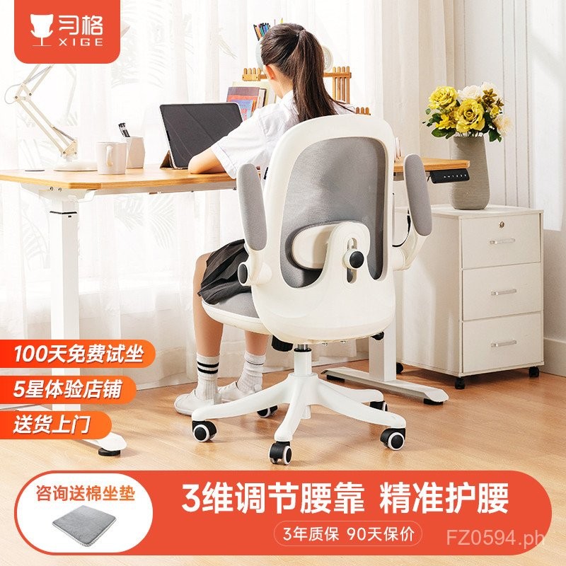 Computer Chair for Teenagers, Ergonomic Office Chair, Student Chair ...