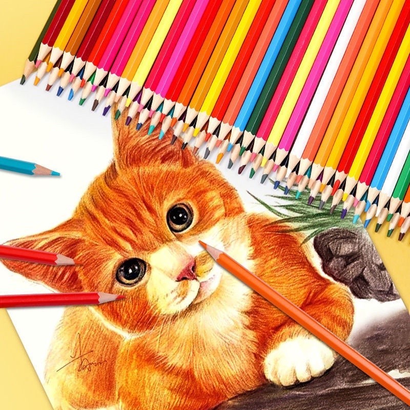 COD Drawing Colored Pencils Set 12/24/36/48 Colors Set Color Pen Set ...