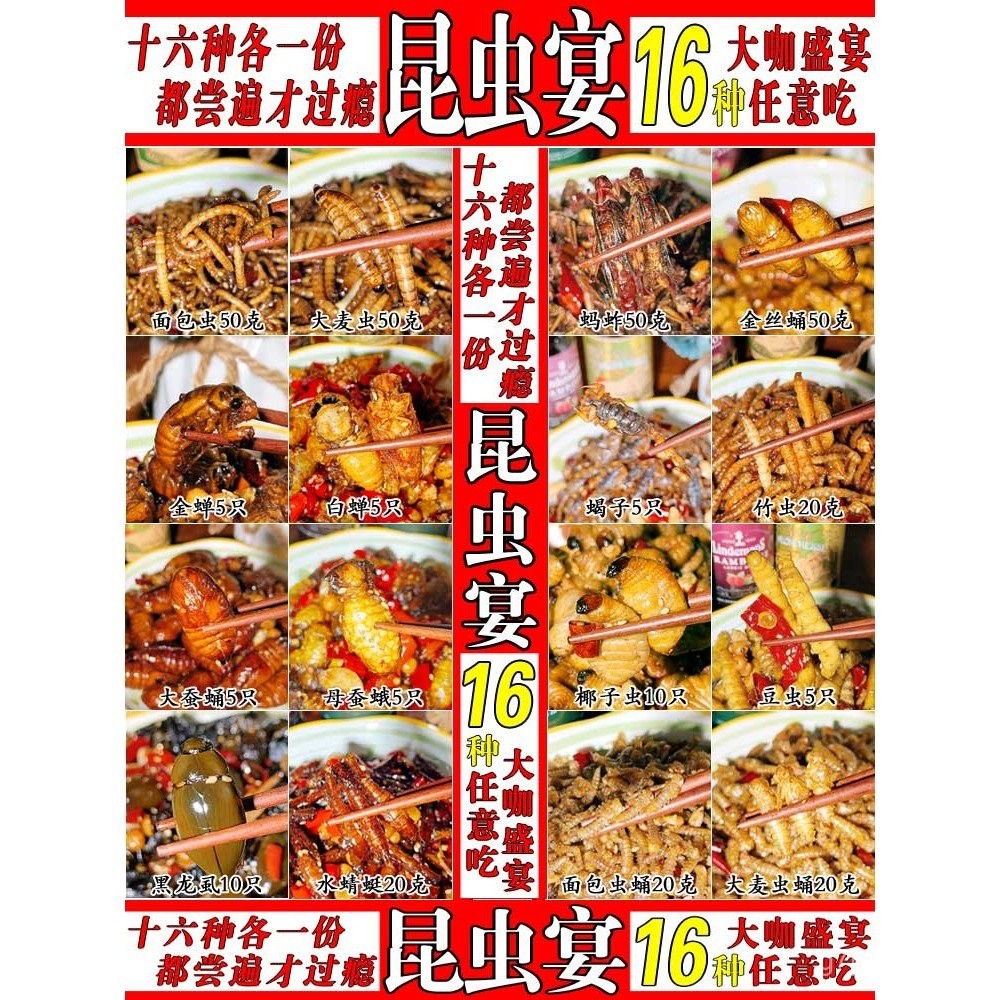 16Species of Fried Insects: Cicadas, Bean Bugs, Coconut Bugs, Large ...