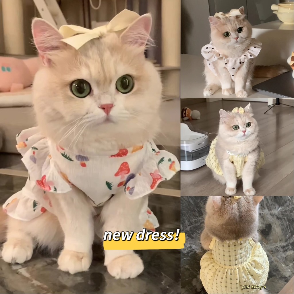 Pet's Summer Princess Dress