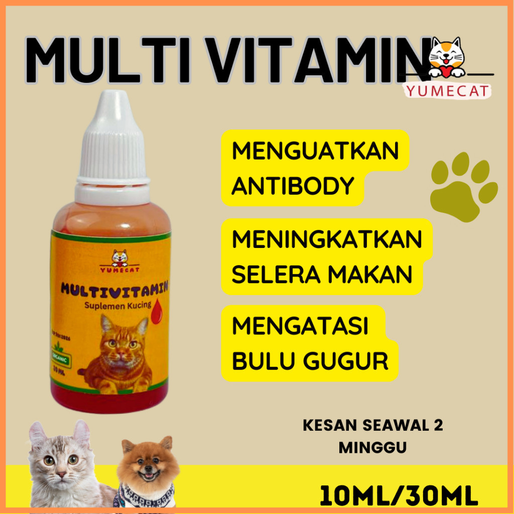 Yumecat Vitamin Cat And Treat immune Disease/Medicine parvo Selsema ...