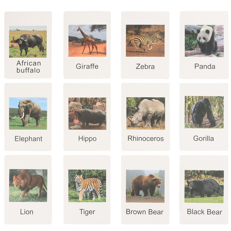 6 Types Montessori animal flash cards, miniature poultry animals with ...