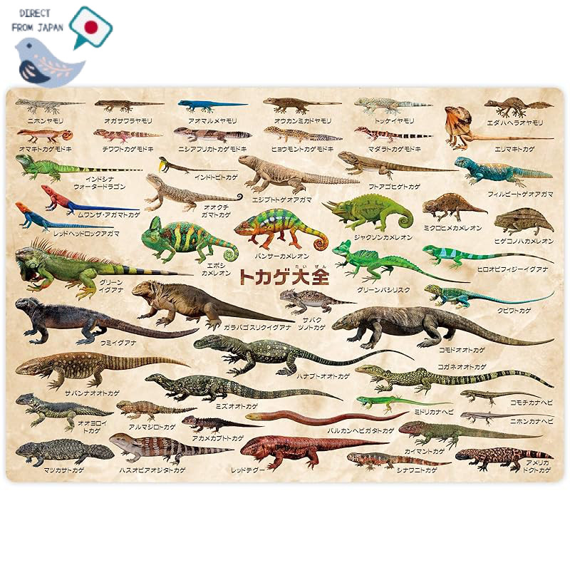 The Access plastic board - Lizard Collection - Aquarium - A4 Size ...