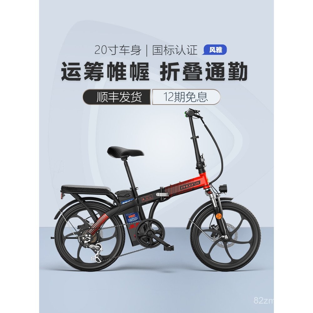 Phoenix201 Inch Lithium Battery Folding Electric Bicycle for Men and ...