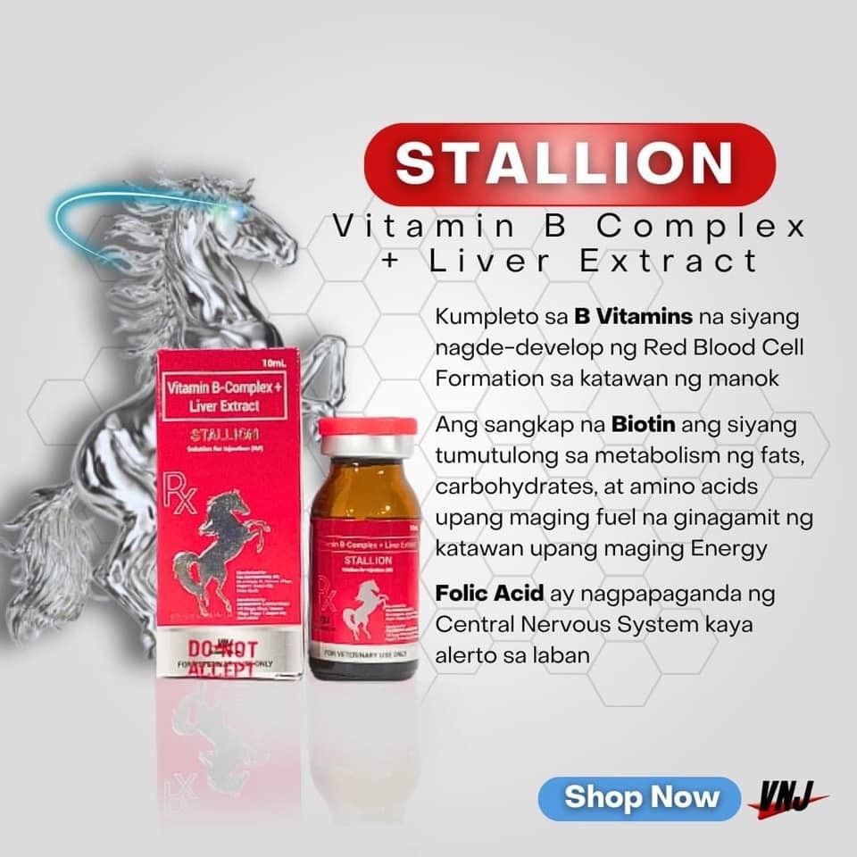 STALLION 100ml (Vitamin B-Complex + LIVER EXTRACT) | Shopee Philippines